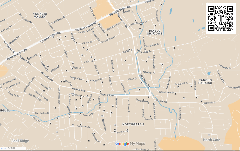 map flyer